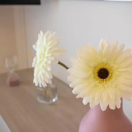 Apartamento Emy House Península Sorrentina